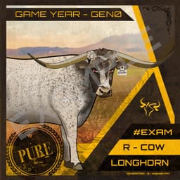 Longhorn Bull Founder Cattle Card NFT