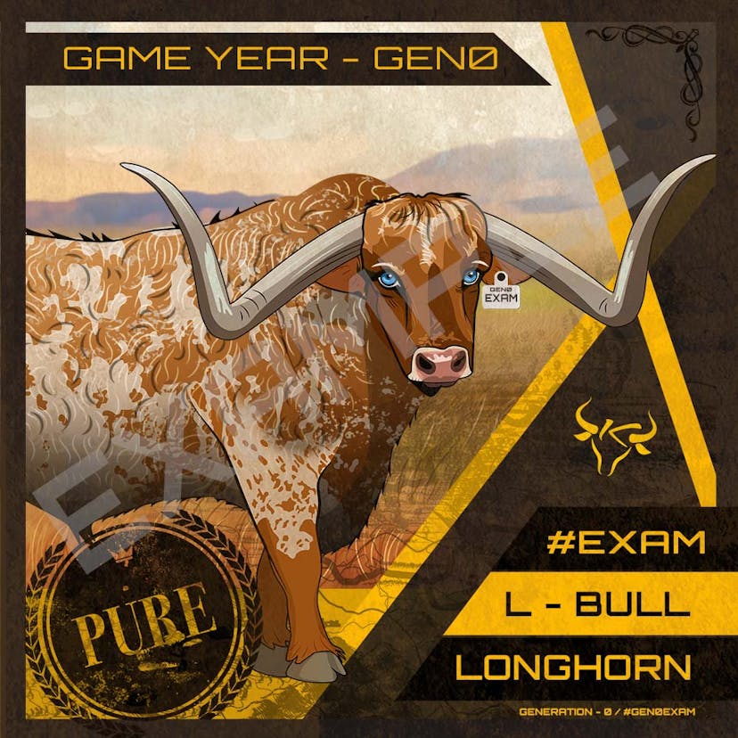 Longhorn Bull Cattle Card