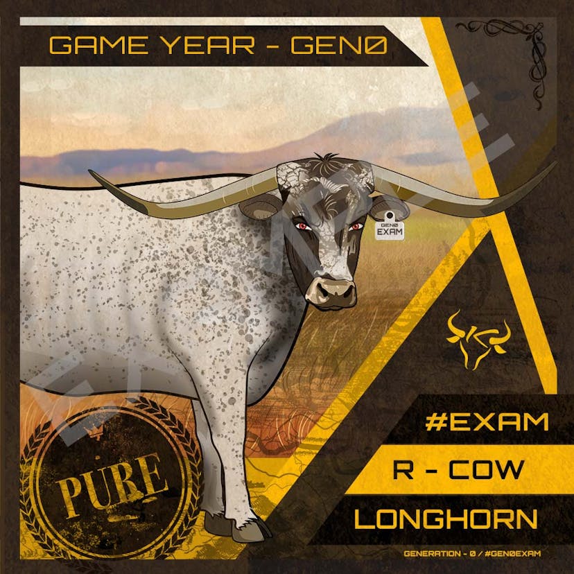 Longhorn Cow Cattle Card