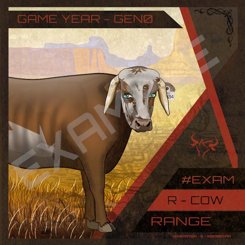 Range Cow Cattle Card